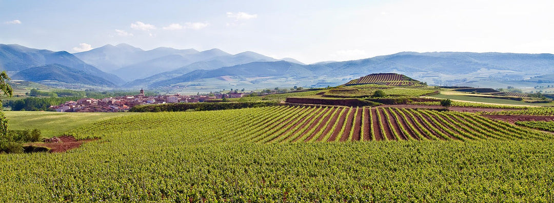 Martinez Alesanco Rioja Crianza – Warm Spices & Red Fruit Mid‑Advent