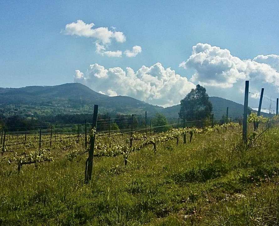 First Day of Advent.