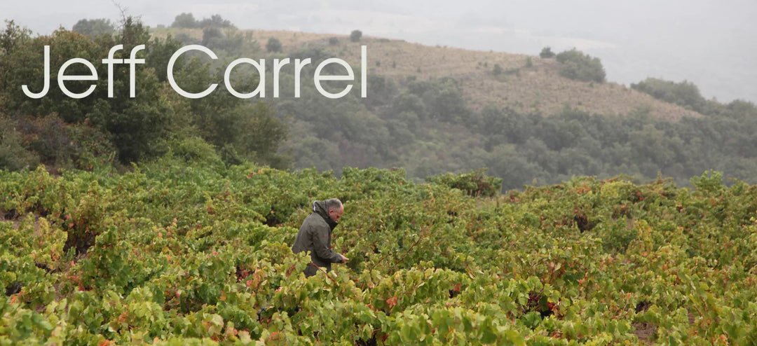Jeff Carrel Morillon Blanc – Rich and Comforting Wine for Mid-Advent