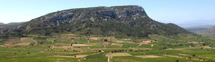 La Remontada – A Bold French Red for Mid-Advent