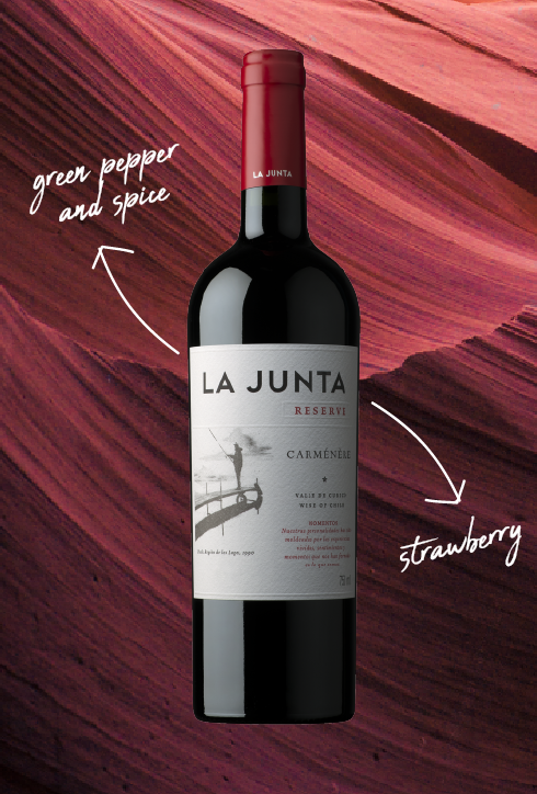 Viña La Junta Reserve Carménère, Curico Valley, 2024, Chile